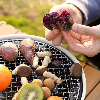 Barbecue Stove Smokeless Grill Outdoor Camping Charcoal Grill Rotisserie Rack - CAMPZONES